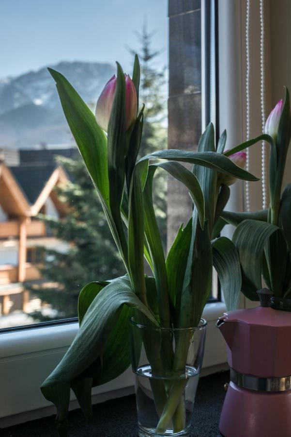 5 Krokow Zakopane Ngoại thất bức ảnh
